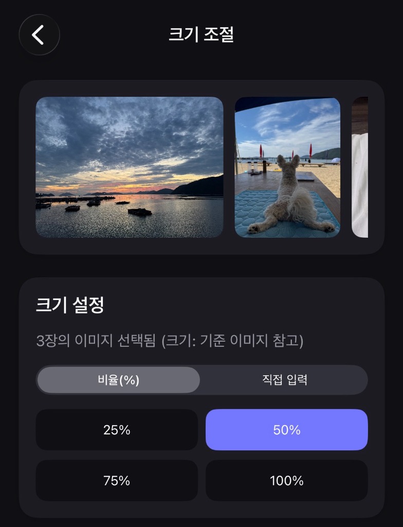 Resize Preview